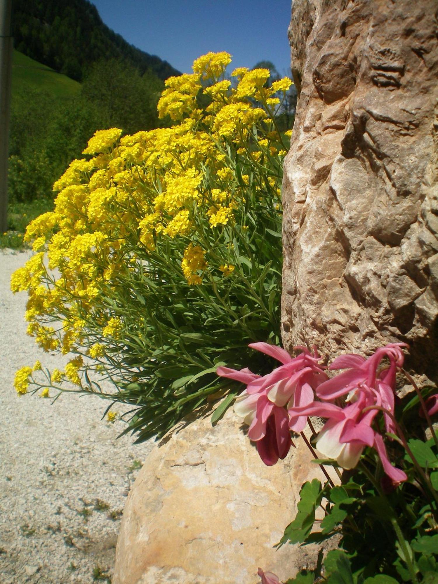Villa Otto Santa Cristina Val Gardena Dış mekan fotoğraf