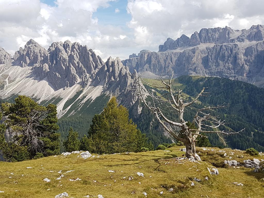 Villa Otto Santa Cristina Val Gardena Dış mekan fotoğraf